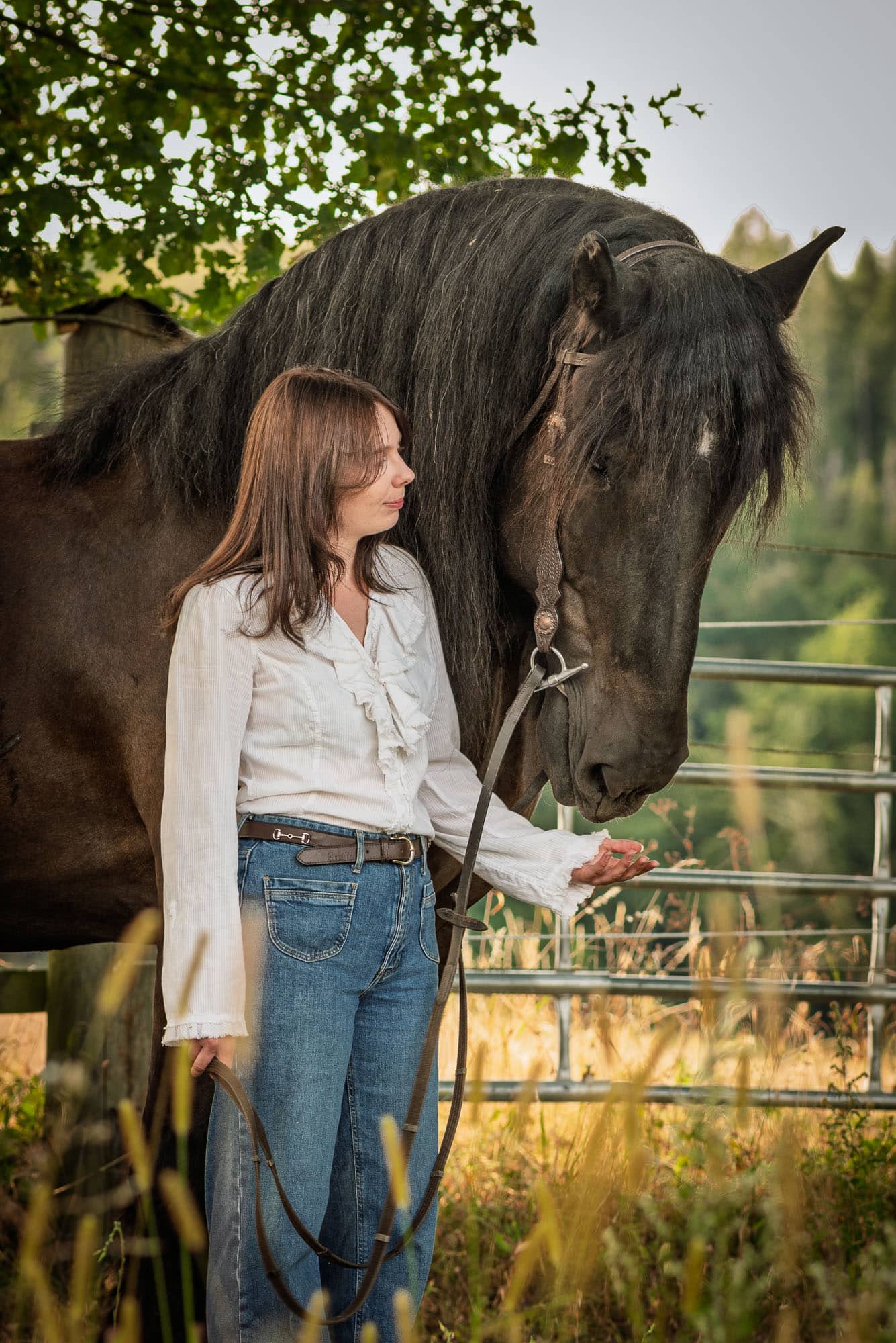Frau und schwarzes Pferd in der Abendsonne am Paddock