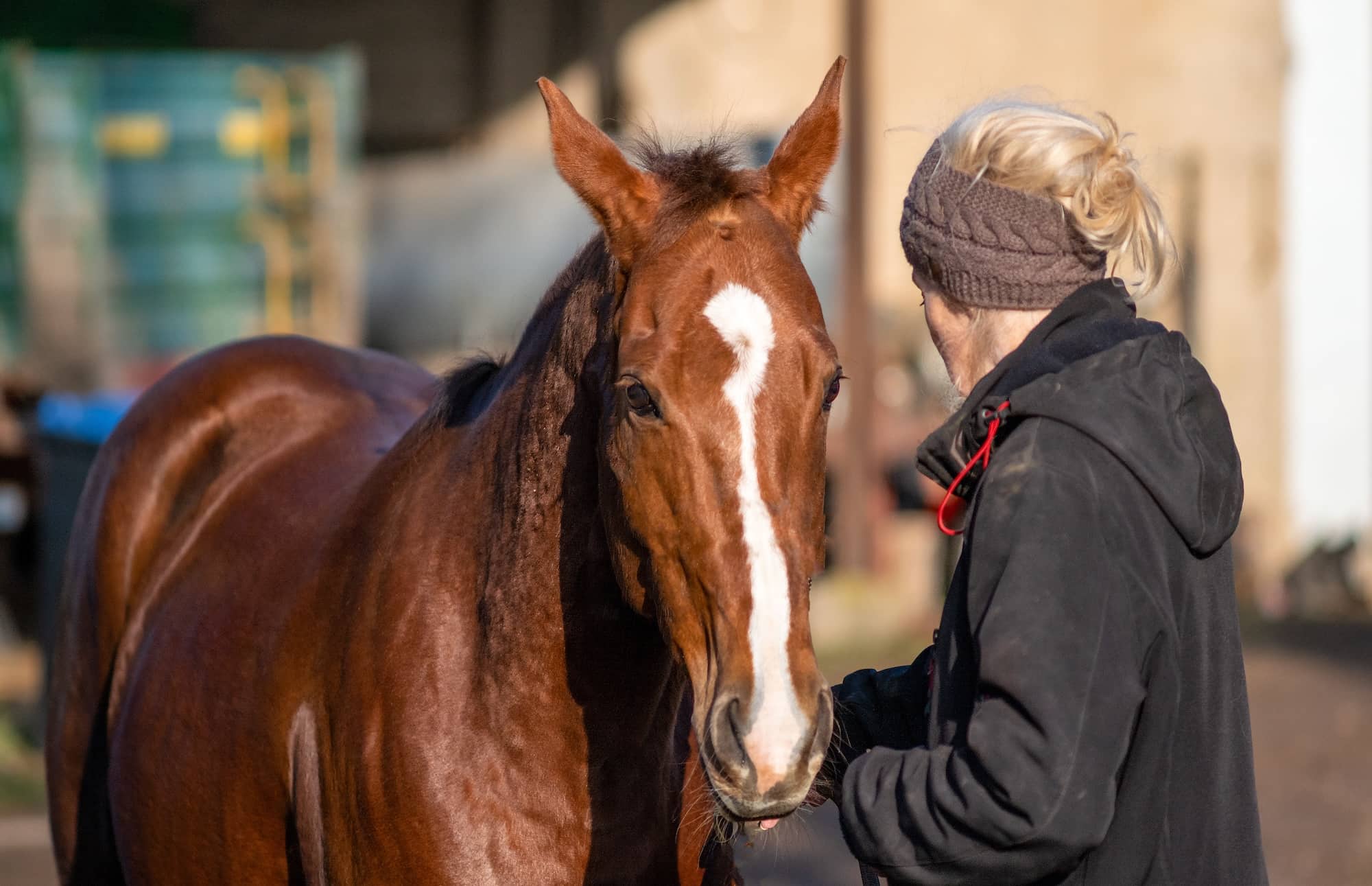 Frau und Pferd in einem vertrauten Moment am Stall